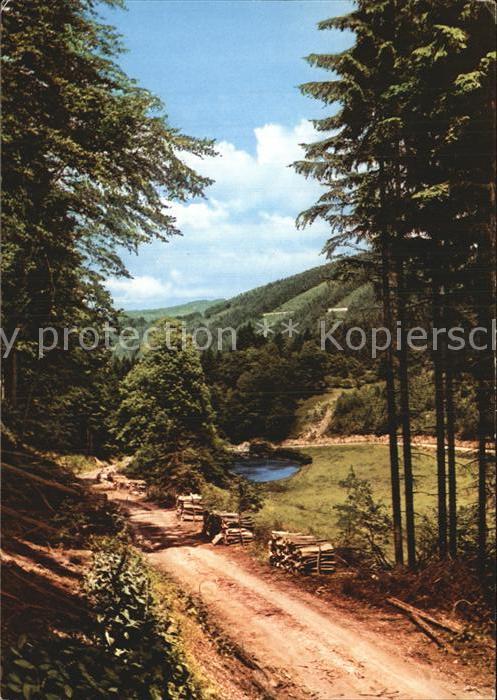 Fleckenberg Waldweg Teich