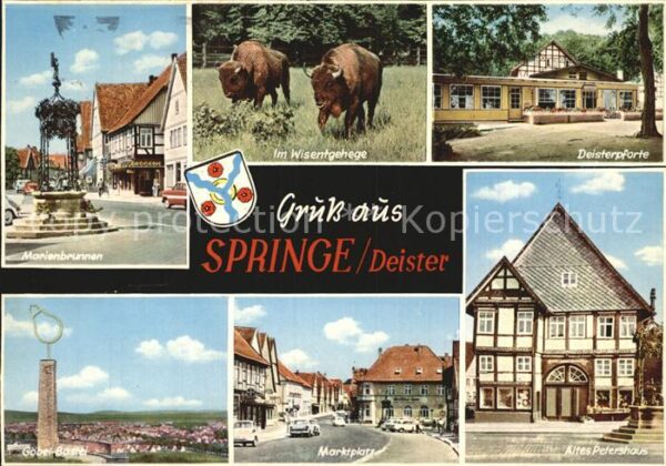 Springe Deister Marienbrunnen Wisentgehege Deisterpfort