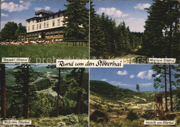 Wieda Berghotel Wanderweg Waldpartie