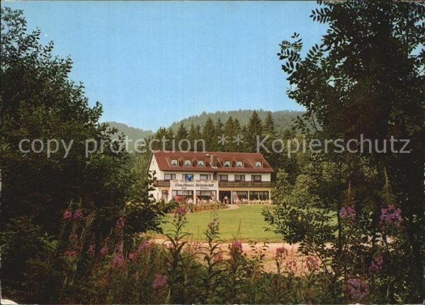 Bad Sachsa Harz Landhaus Helmboldt Hotel Pension Waldpr