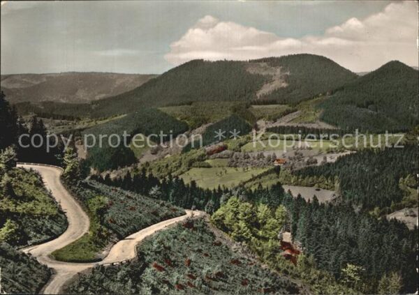 Oppenau Panorama Blick ins Renchtal Braunberg W
