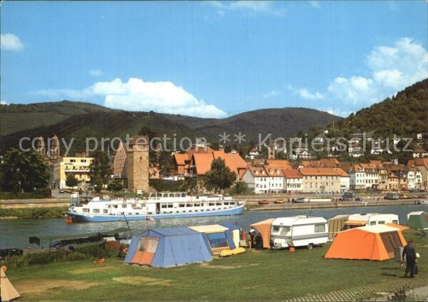 Eberbach Neckar Campingplatz Ausflugsdampfer