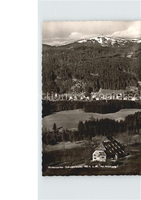 Hinterzarten Panorama mit Blick zum Feldberg Schwarz