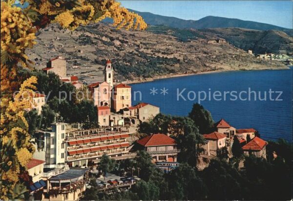 La Mortola Panorama