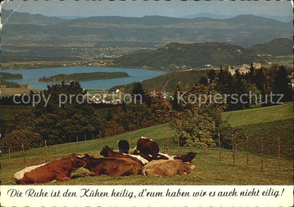Faakersee Blick zur Ruine Finkenstein