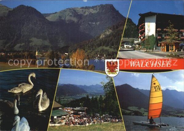 Walchsee Tirol Teilansicht Schwäne Segelboot