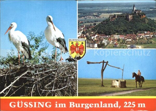 Guessing Burg auf dem Basaltkegel Reiter Störche