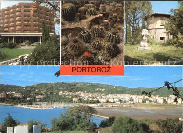 Portoroz Panorama Kakteen