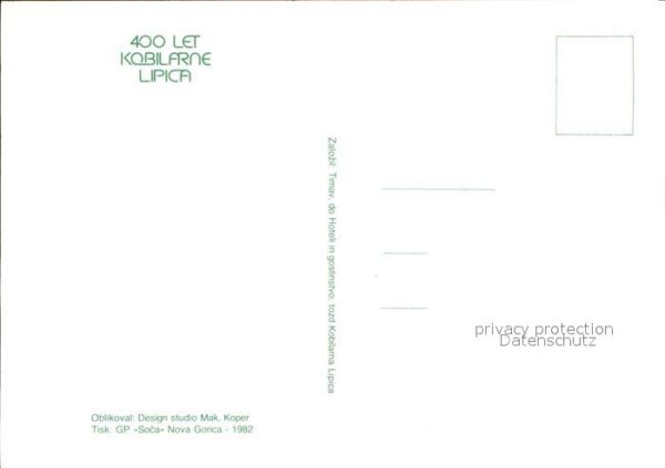 Lipica Acht Reiter hoch zu Ross – Bild 2