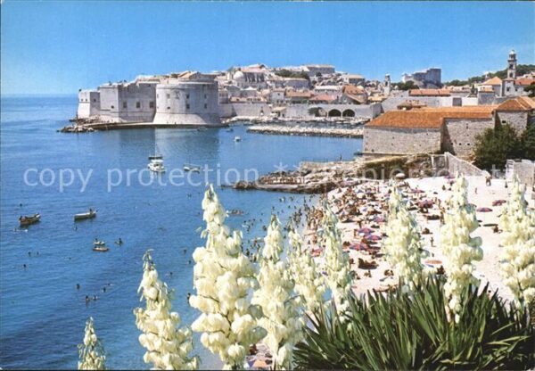 Dubrovnik Ragusa Teilansicht