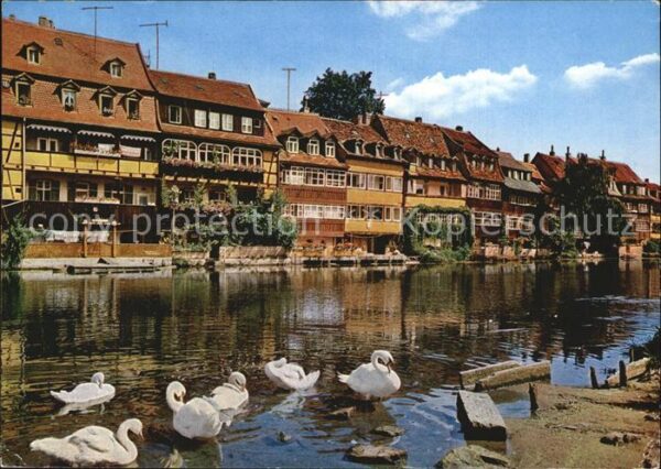 Bamberg Klein Venedig Schwäne an der Regnitz
