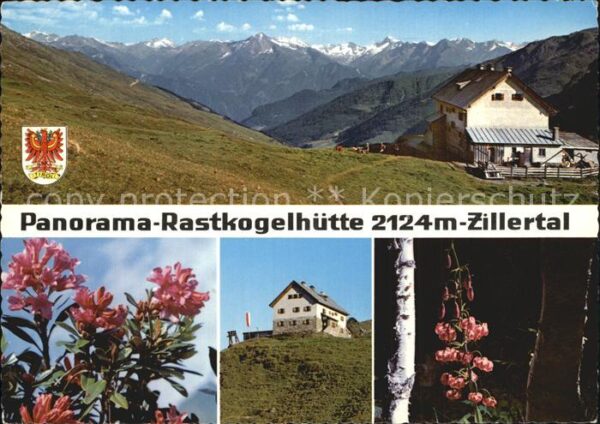 Hippach Rastkogelhütte Zillertal Alpenflora Alp