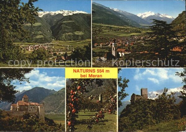 Naturns Gesamtansicht mit Alpenpanorama Burgrui