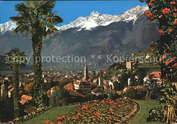 Meran Merano Panorama Blick gegen Texelgruppe Rosenb