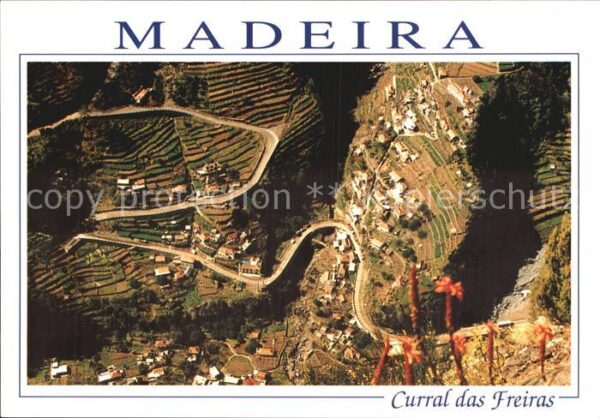 Curral das Freiras Blick ins Tal