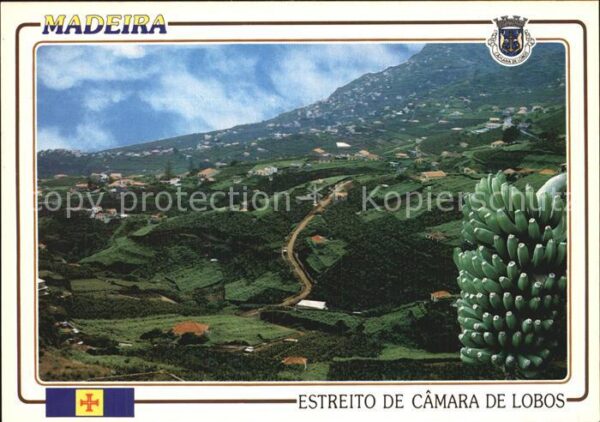 Camara de Lobos Madeira  Portugal Panorama Meerenge Bananenstaude