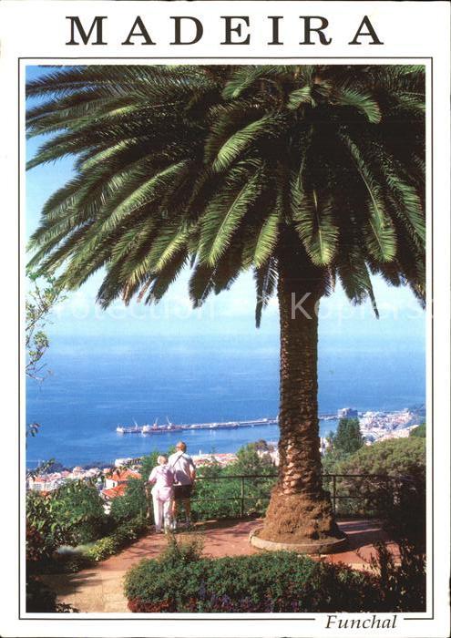 Funchal Palme Meerblick Goldener Preis Europäis