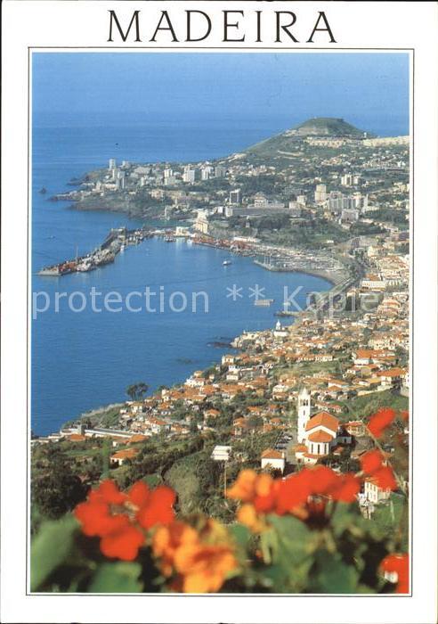 Funchal Panorama Küstenstadt