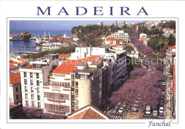 Funchal Teilansicht mit Blick zum Hafen