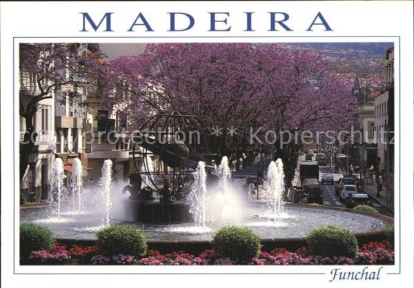 Funchal Brunnen Baumblüte