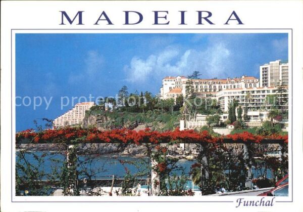 Funchal Hotels an der Küste Blütenpracht