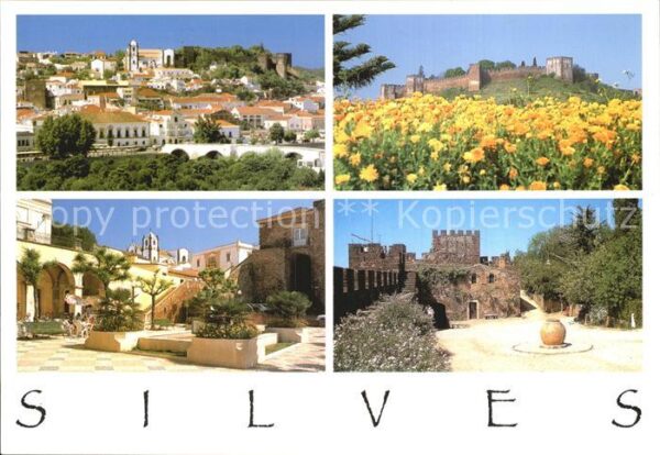 Silves Algarve Teilansichten mit Festung Blumenwiese