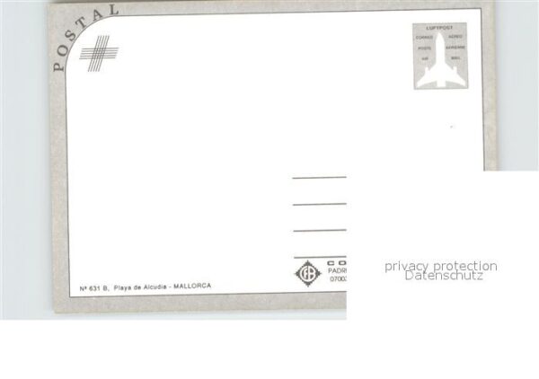 Alcudia Mallorca Playa Strand Palmen – Bild 2
