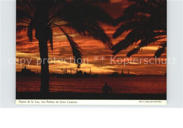 Puerto de la Luz Canarias Sonnenuntergang unter Palmen