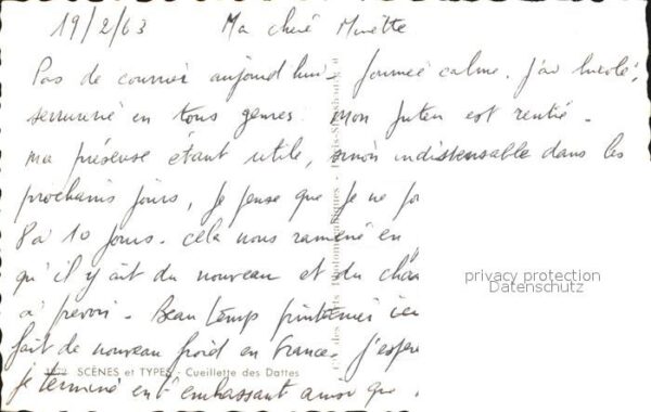 Scenes et Types Nr. 1272 Cueillette des Dattes Dattelernte – Bild 2