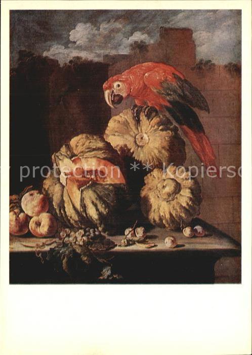 Kuenstlerkarte Alte Kuenstler Franz Werner Tamm A Parrot on Pumpkins