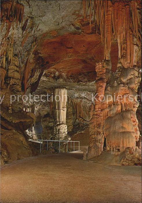 Hoehlen Caves Grottes Postojnska jama