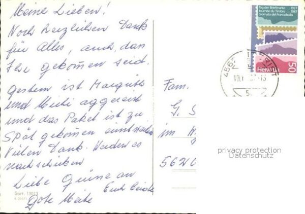Katzen – Bild 2
