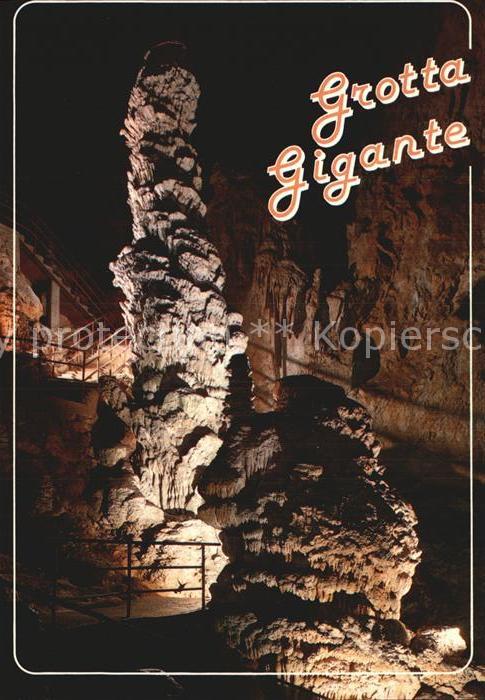 Hoehlen Caves Grottes Grotta Gigante Trieste Opicina Colonna