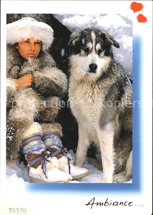 Hunde Polarhund