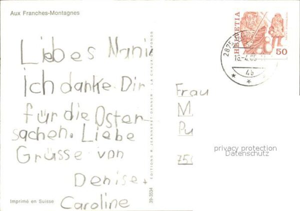 Pferde Franches-Montagnes – Bild 2