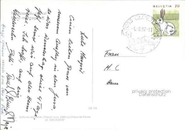 Pferde Noblesse du Cheval Franc-Montagnard – Bild 2
