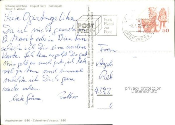 Voegel Schwarzkehlchen Traquet patre – Bild 2