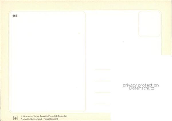 Pferde – Bild 2