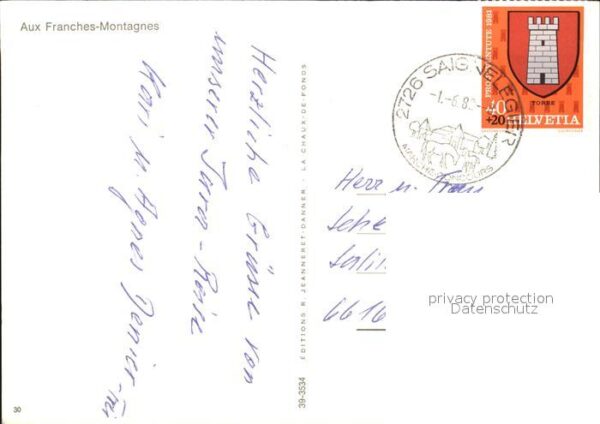 Pferde Franches-Montagnes – Bild 2