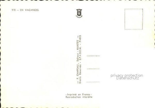 Kuehe – Bild 2