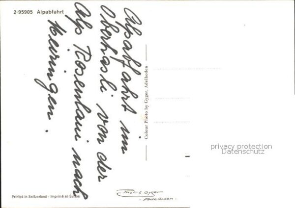 Kuehe Alpabfahrt – Bild 2