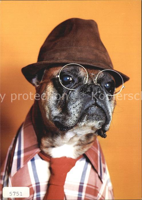 Vermenschlicht Hunde Hut Sehbrille Hemd Krawatte