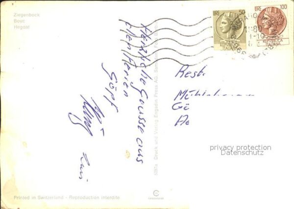 Ziege Ziegenbock Bouc Hegoat – Bild 2