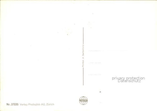 Schweine – Bild 2