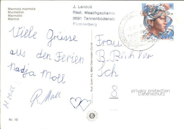 Murmeltier Marmotte Marmot – Bild 2