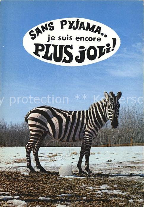 Zebra Animaux Humoristiques
