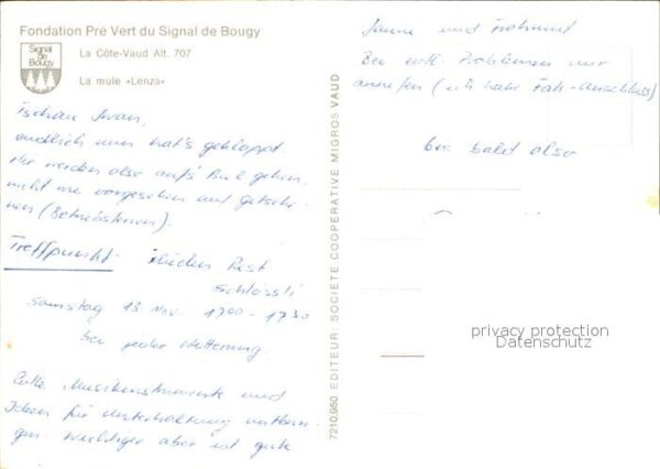 Esel Tiere Mule Lenza Fondation Pre Vert Signal de – Bild 2