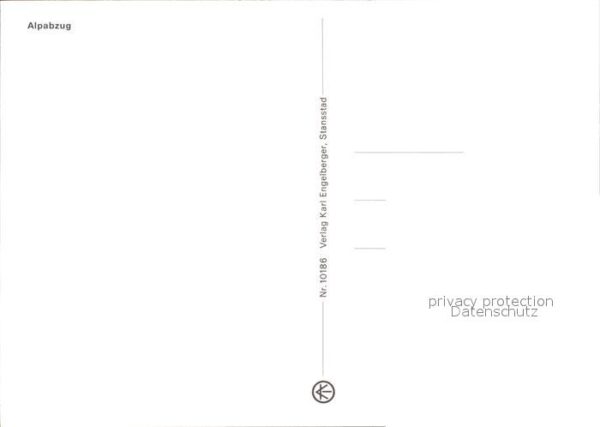 Kuehe Alpabzug – Bild 2