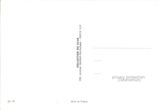 Schweine – Bild 2