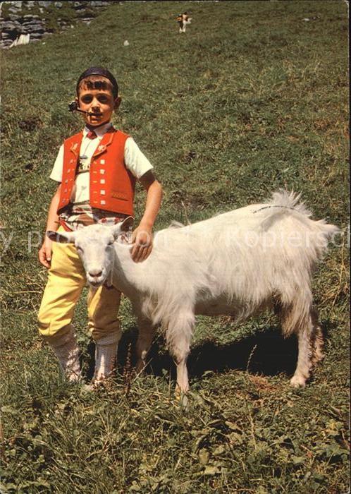 Ziege Knabe Appenzellertracht